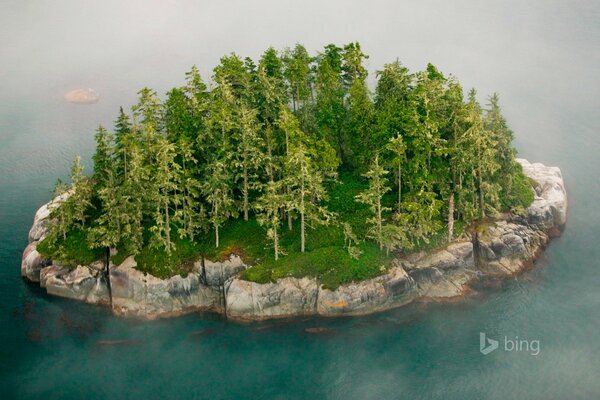 Insel mitten im Meer, Felsnebel