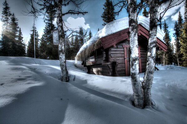 A lonely hut stands in the middle of a winter forest