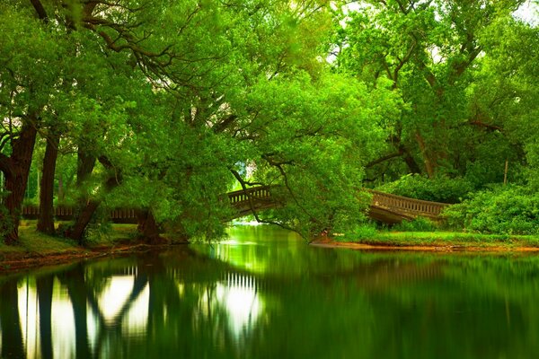 El puente de todos los enamorados como un refugio tranquilo de ensueño