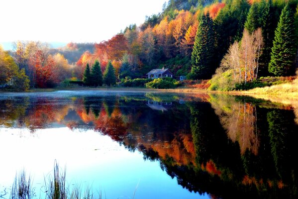 Mirror lake on the background of a multicolored forest