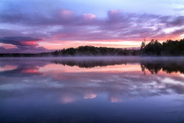 Reflejo del bosque con los colores del atardecer en el lago de Wisconsin