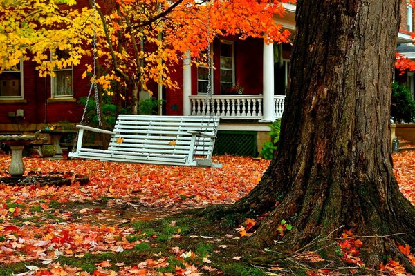 Autumn day, there is a swing hanging on an old tree near the house