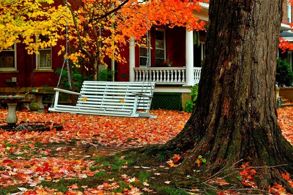 Giorno d autunno, un altalena è appesa a un vecchio albero vicino alla casa