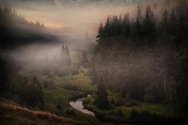 Brouillard sur la rivière dans la forêt de Bohême