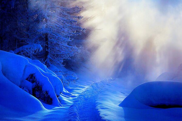 Winter landscape illuminated by bright light