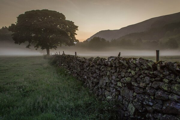 Stone fence in the field in the morning