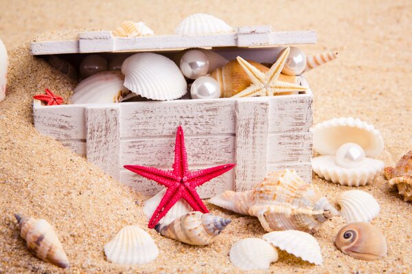 A box with starfish and shells on the sand