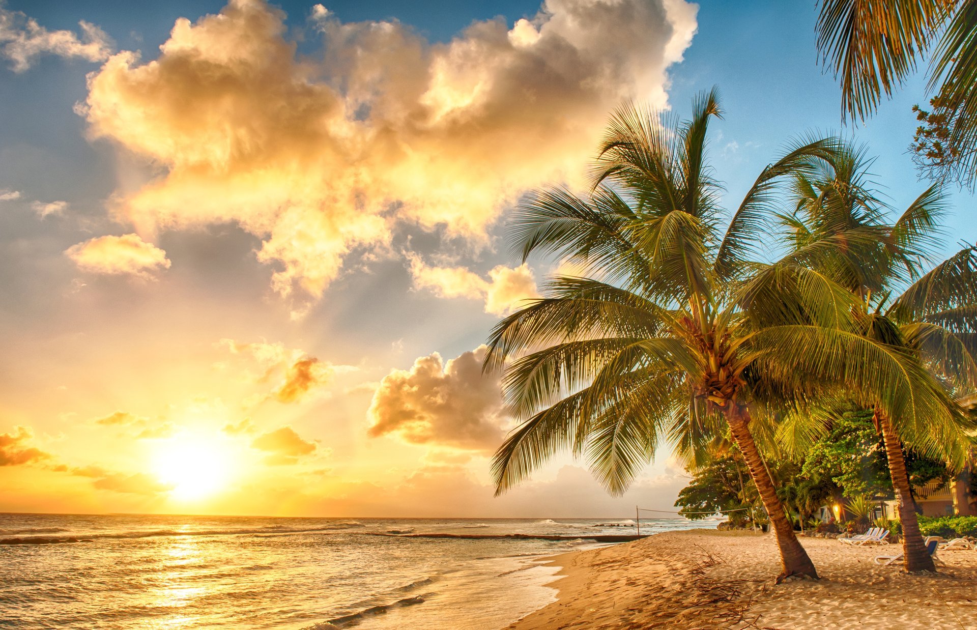 tropical paradis plage palmiers mer océan coucher de soleil tropiques sable rivage