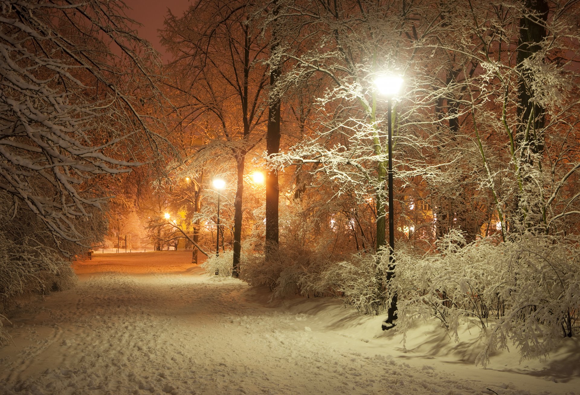 romantyczny wieczór winter park aleja latarnie droga natura piękna scena krajobraz latarnia lampy noc północ latarnie zima park latarnia światła