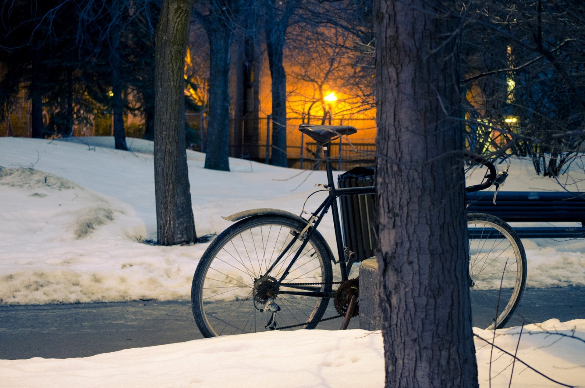 winter park śnieg ulica drzewa słońce zachód słońca park zima