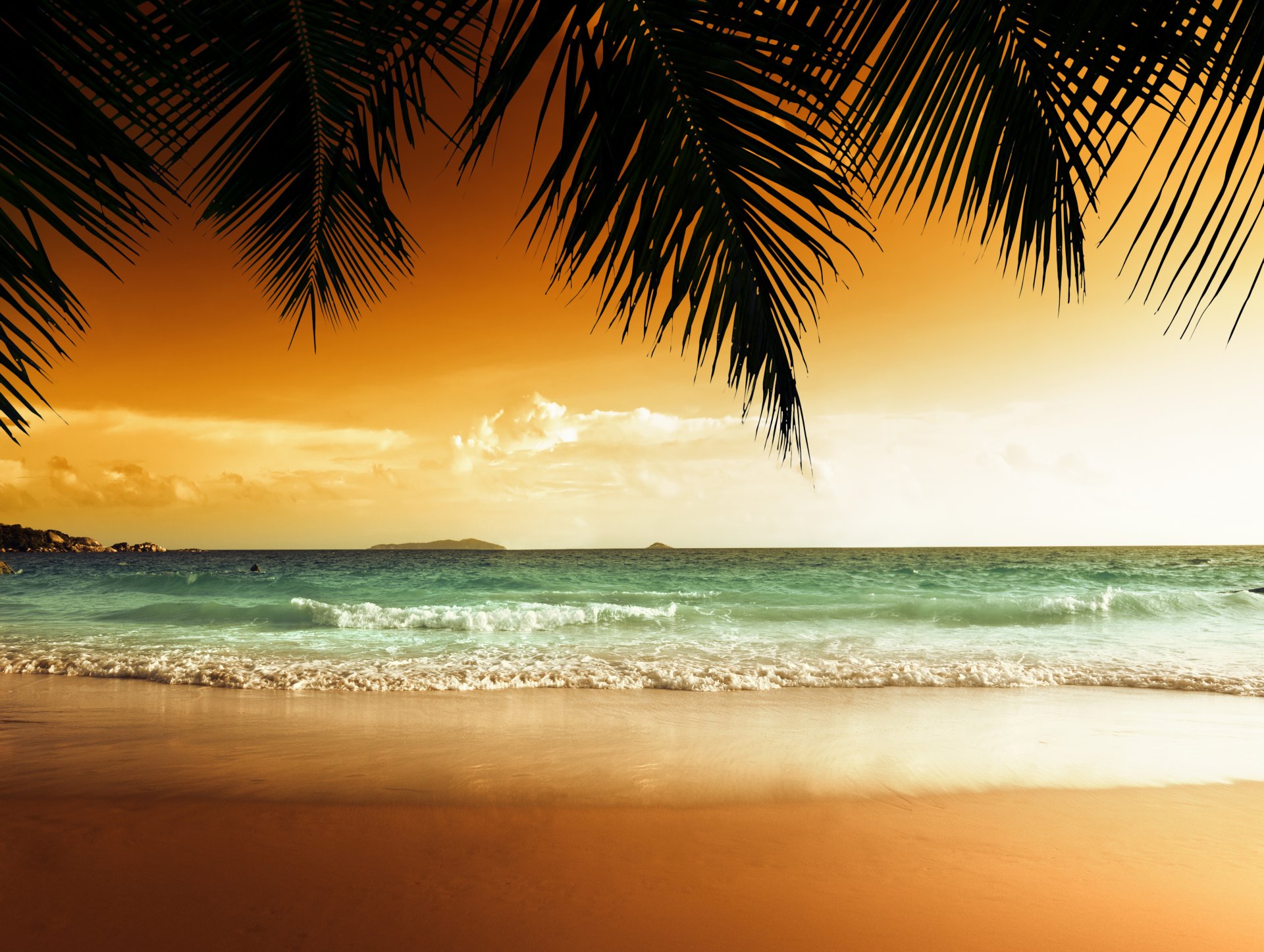 tropicale paradiso spiaggia palme mare oceano tramonto tropici sabbia spiaggia