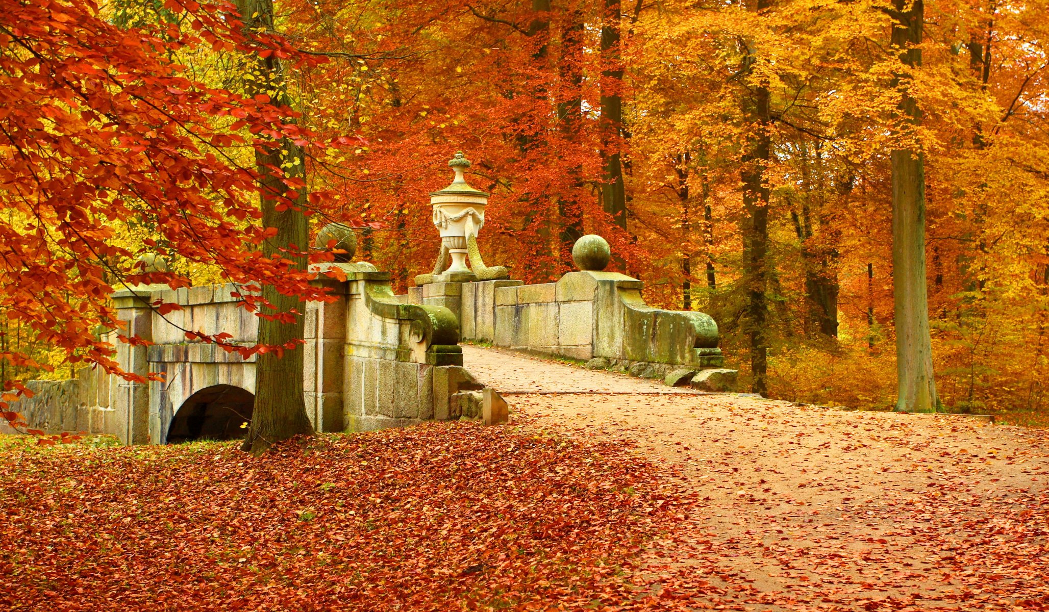 naturaleza paisaje puente hojas árboles otoño bosque