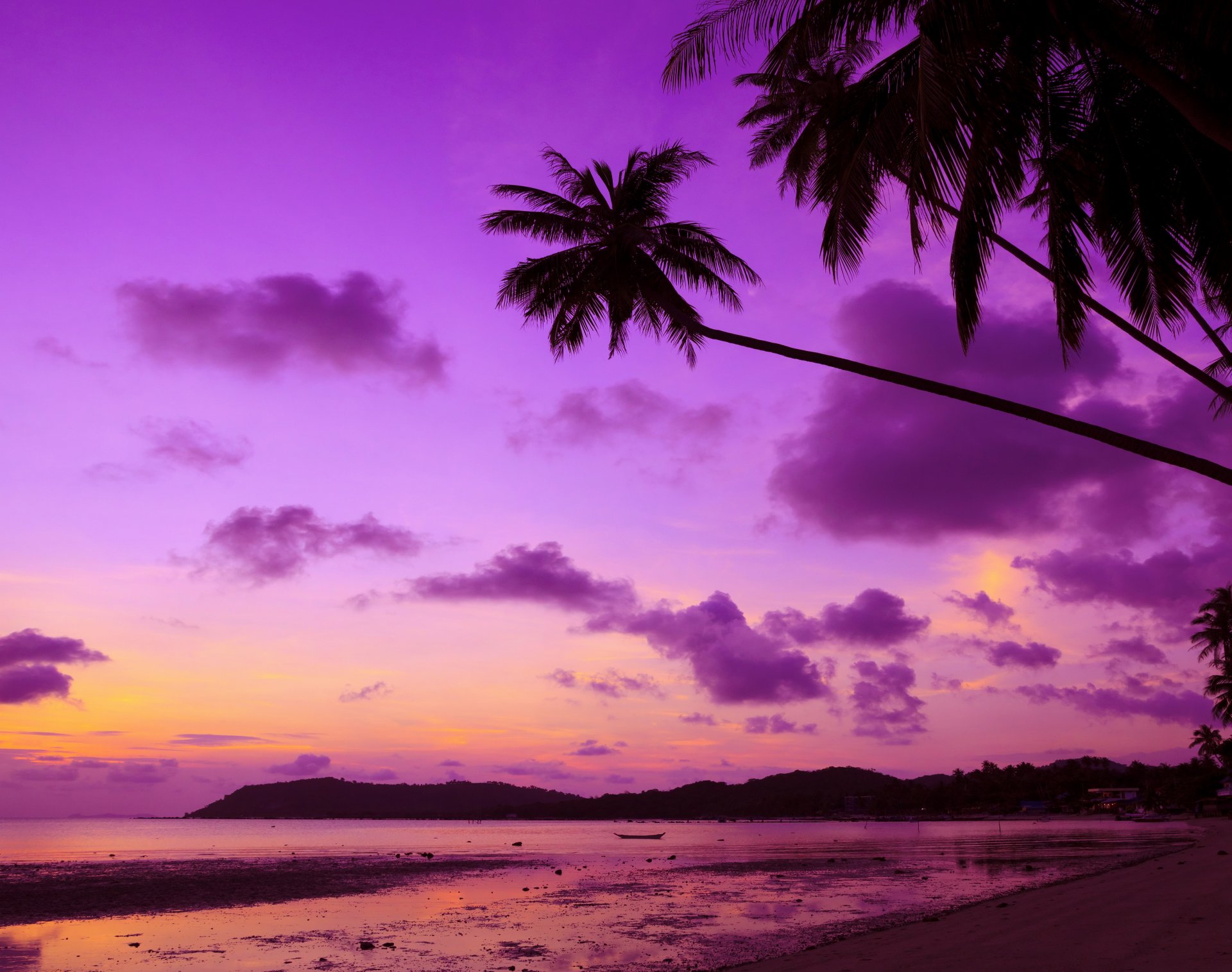 tropical paraíso playa palmeras mar océano puesta de sol púrpura trópicos costa