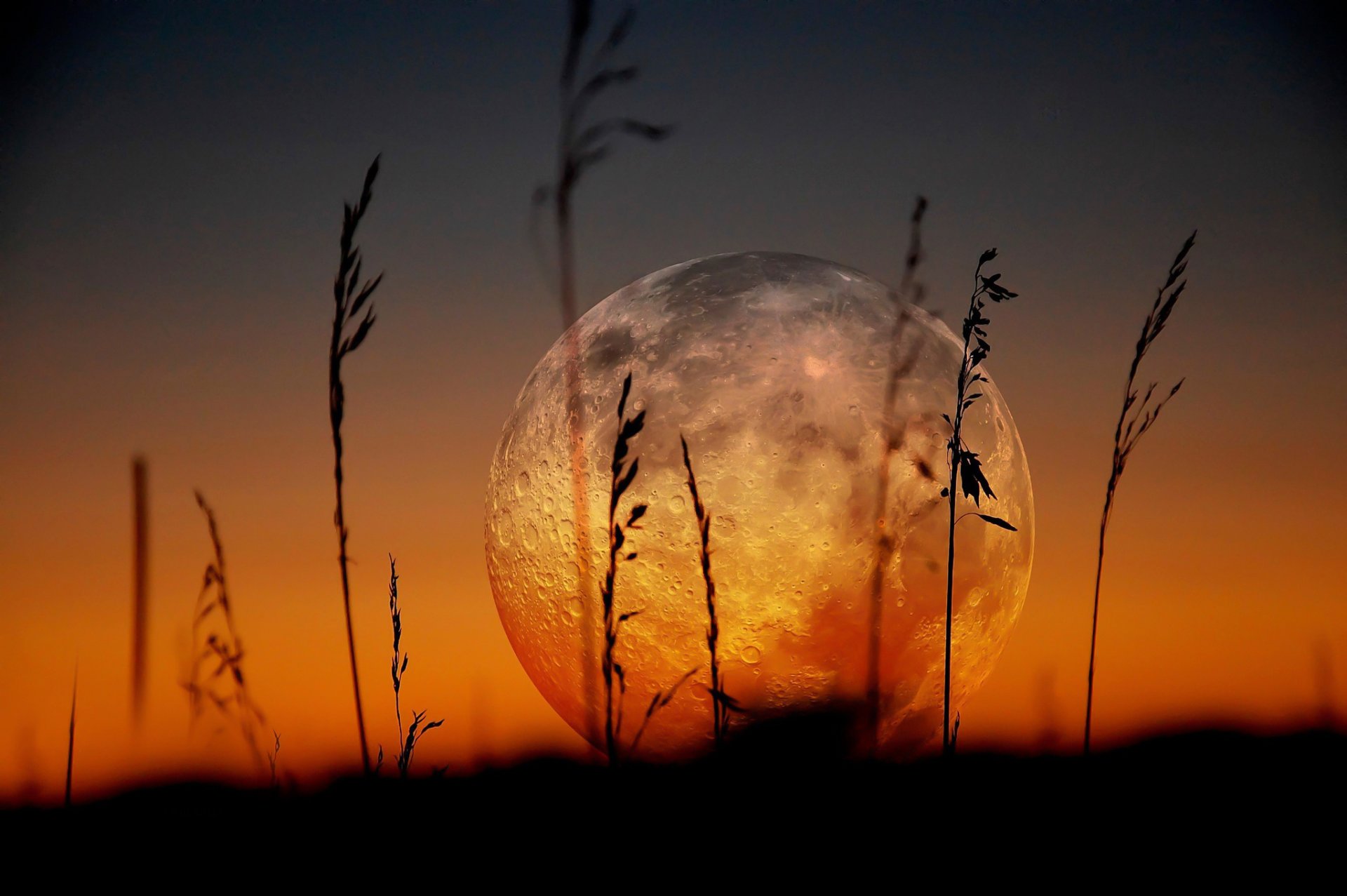 la lune pleine énorme