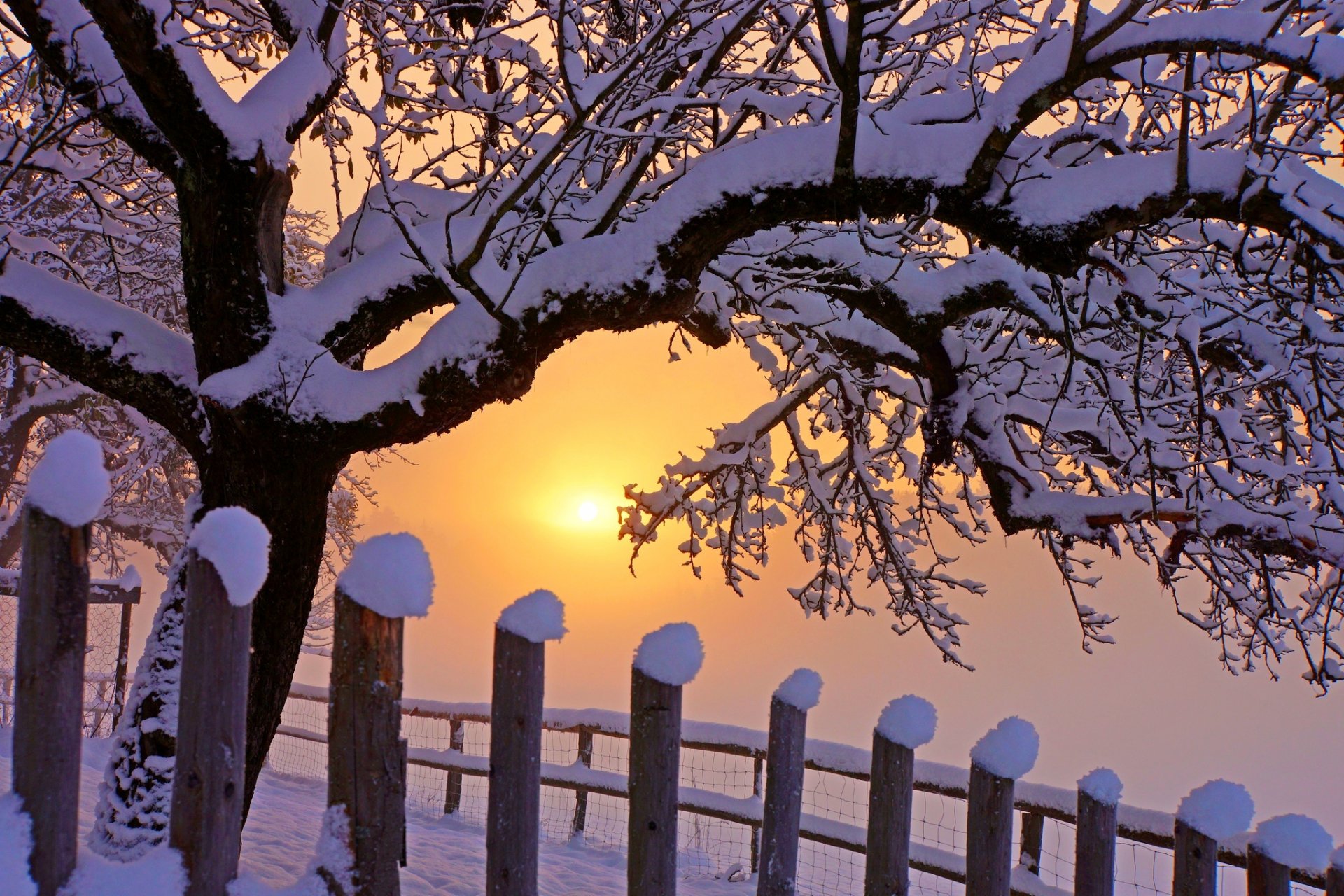 nature winter snow sky landscape white beautiful cool nice sunset