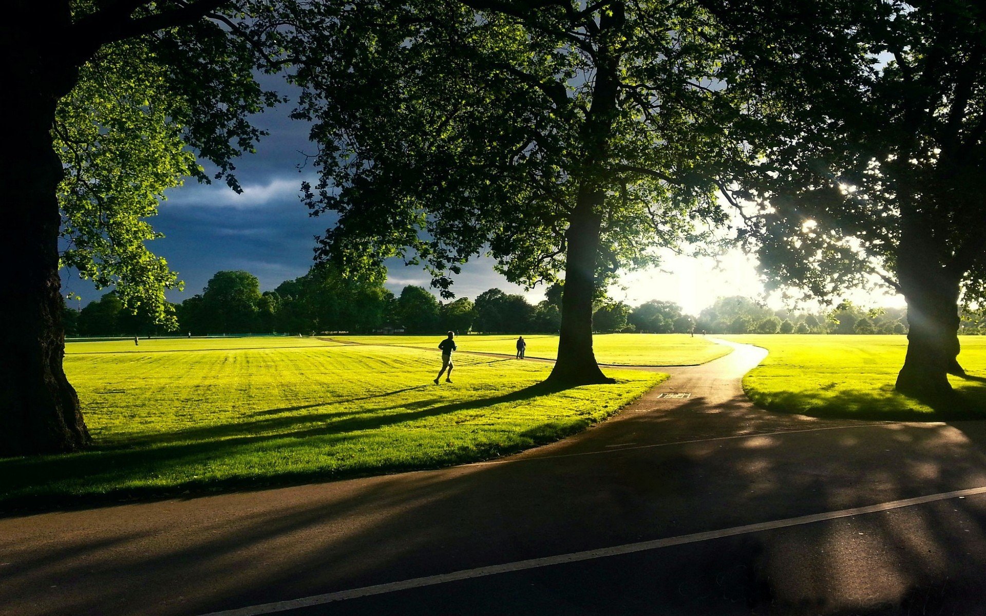 nature landscape man men guy running motion green grass meadow tree sun background wallpaper widescreen full screen hd wallpapers fullscreen path shadow day sky foliage trees human me