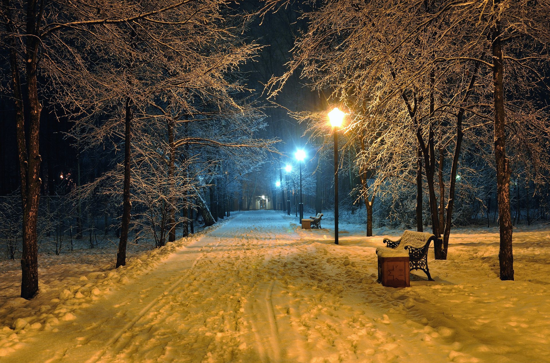 romantic evening benches bench seats winter snow park road park nature beautiful scene landscape lamppost lamps night midnight lanterns bench winter snow park