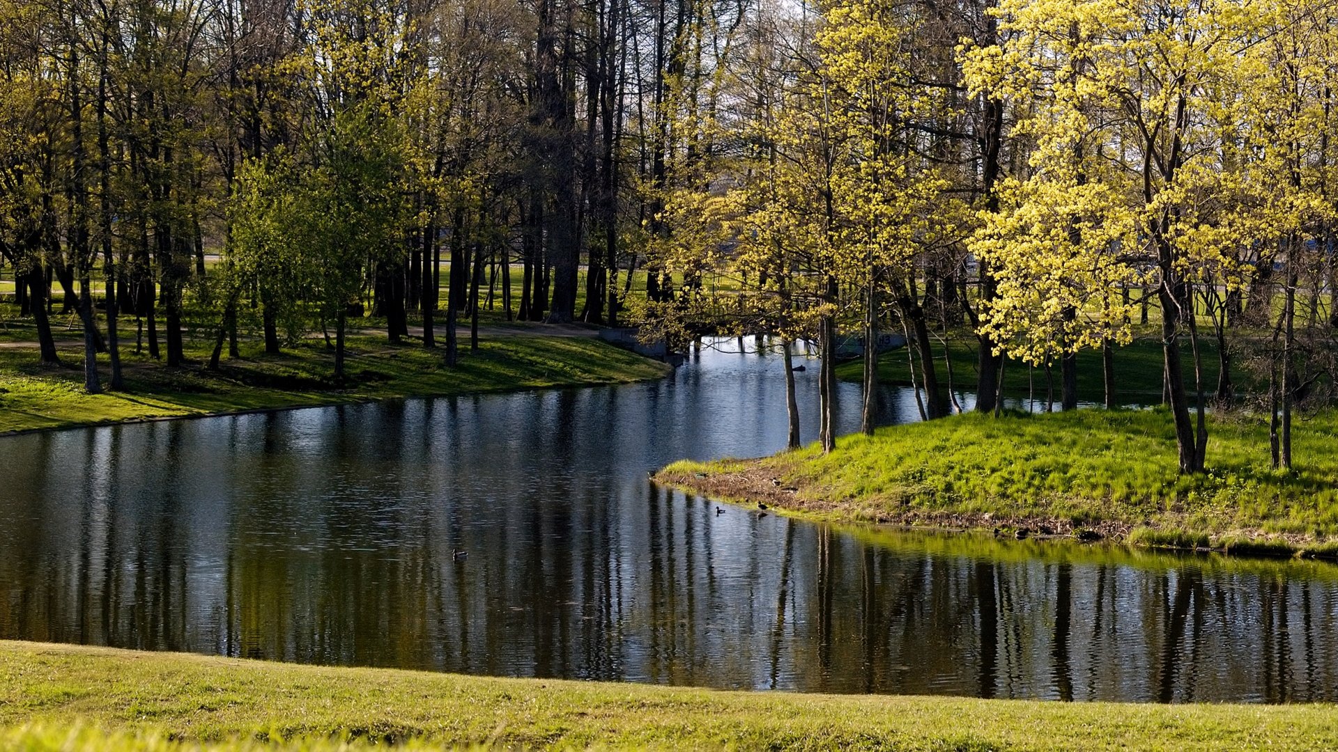 parque árboles estanque lago río otoño hierba hojas