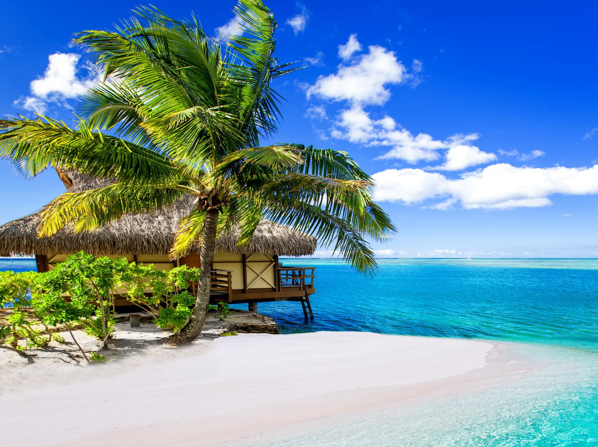 tropisch paradies strand palmen meer ozean sonne sommer urlaub tropen sand ufer