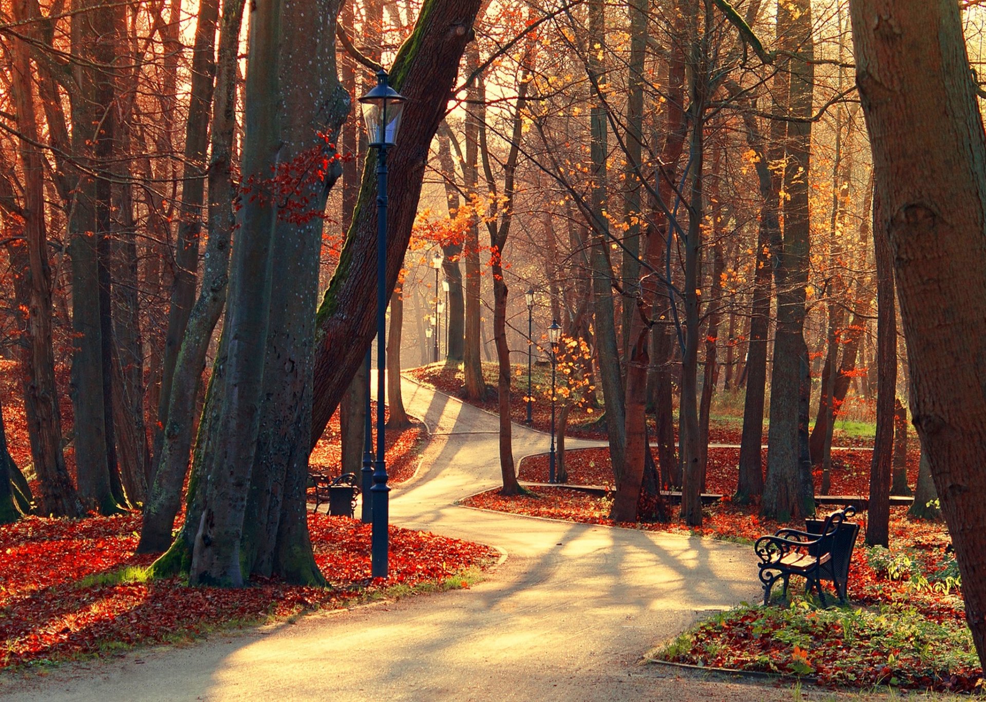 liście park aleja drzewa las jesień spacer hdr natura stoisko widok upadek ławka widok