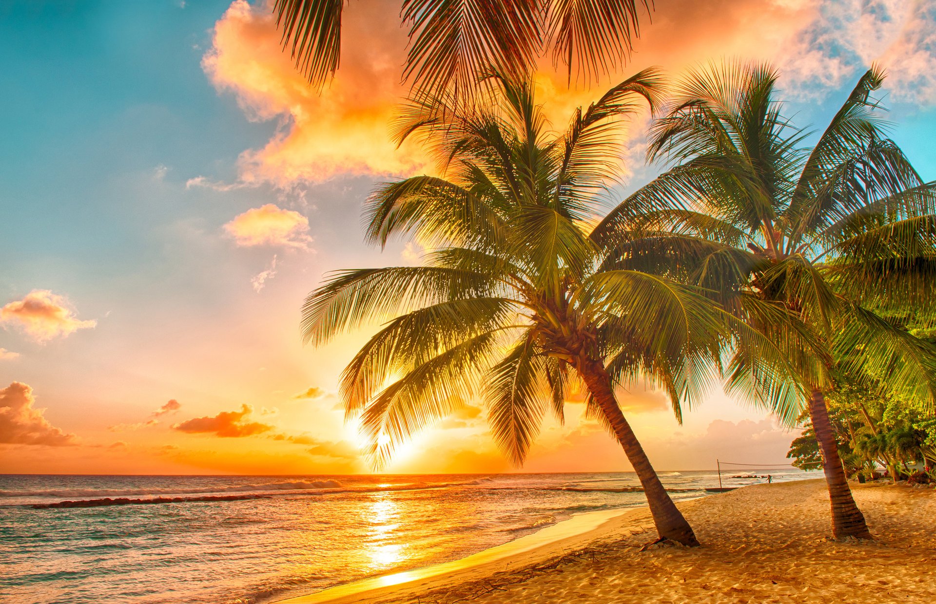 tropical paraíso playa palmeras mar océano puesta de sol trópicos arena costa