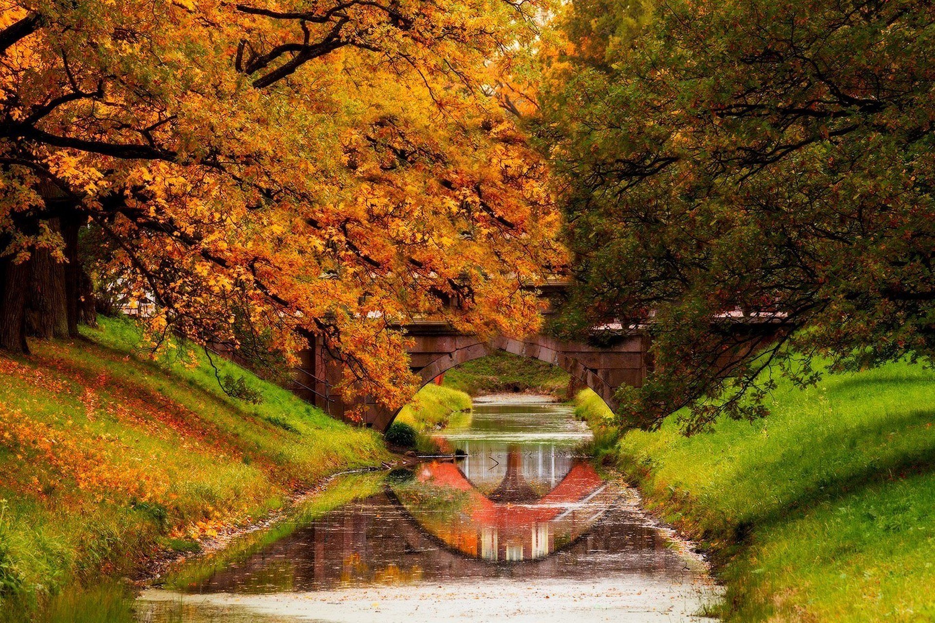 nature river water forest park trees leaves colorful autumn fall colors walk nature mountains sky river