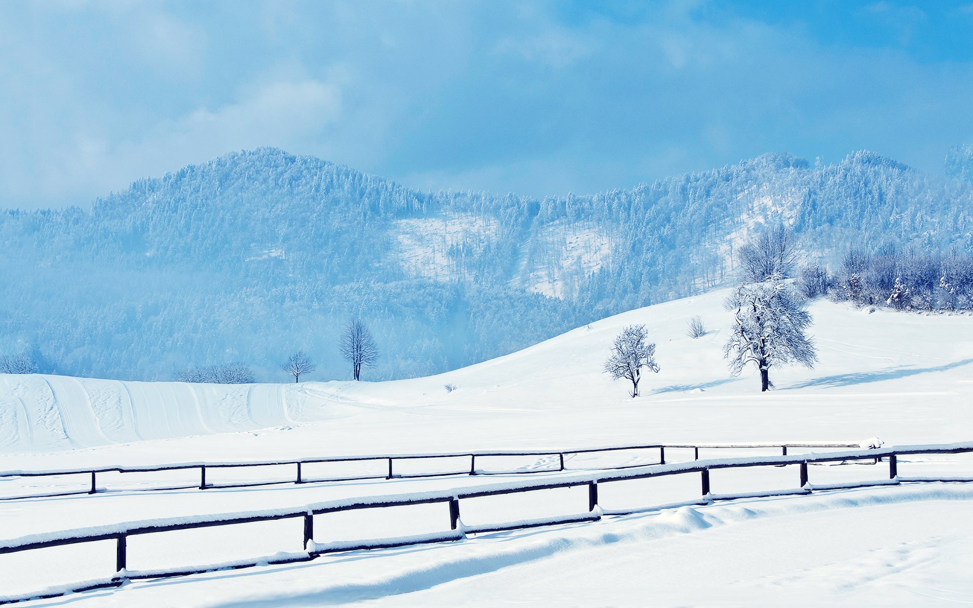 hiver neige collines pistes route garde-corps arbres