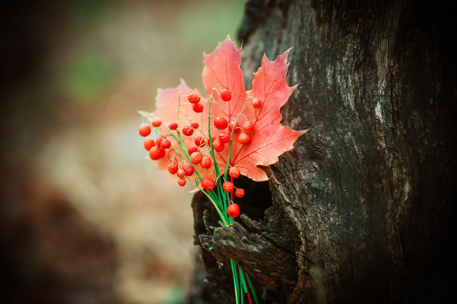 herbst blatt beeren