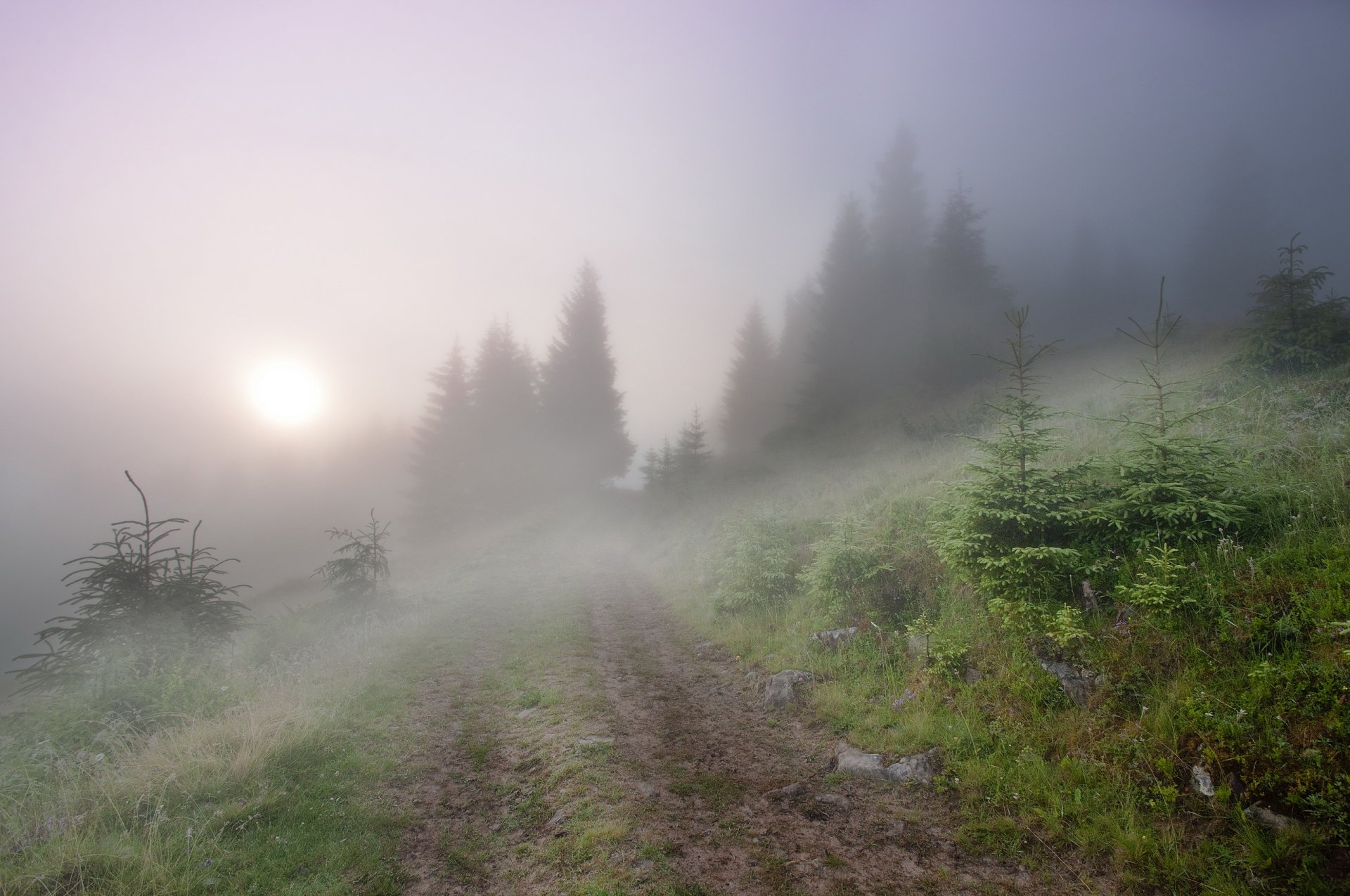 niebla mañana paisaje