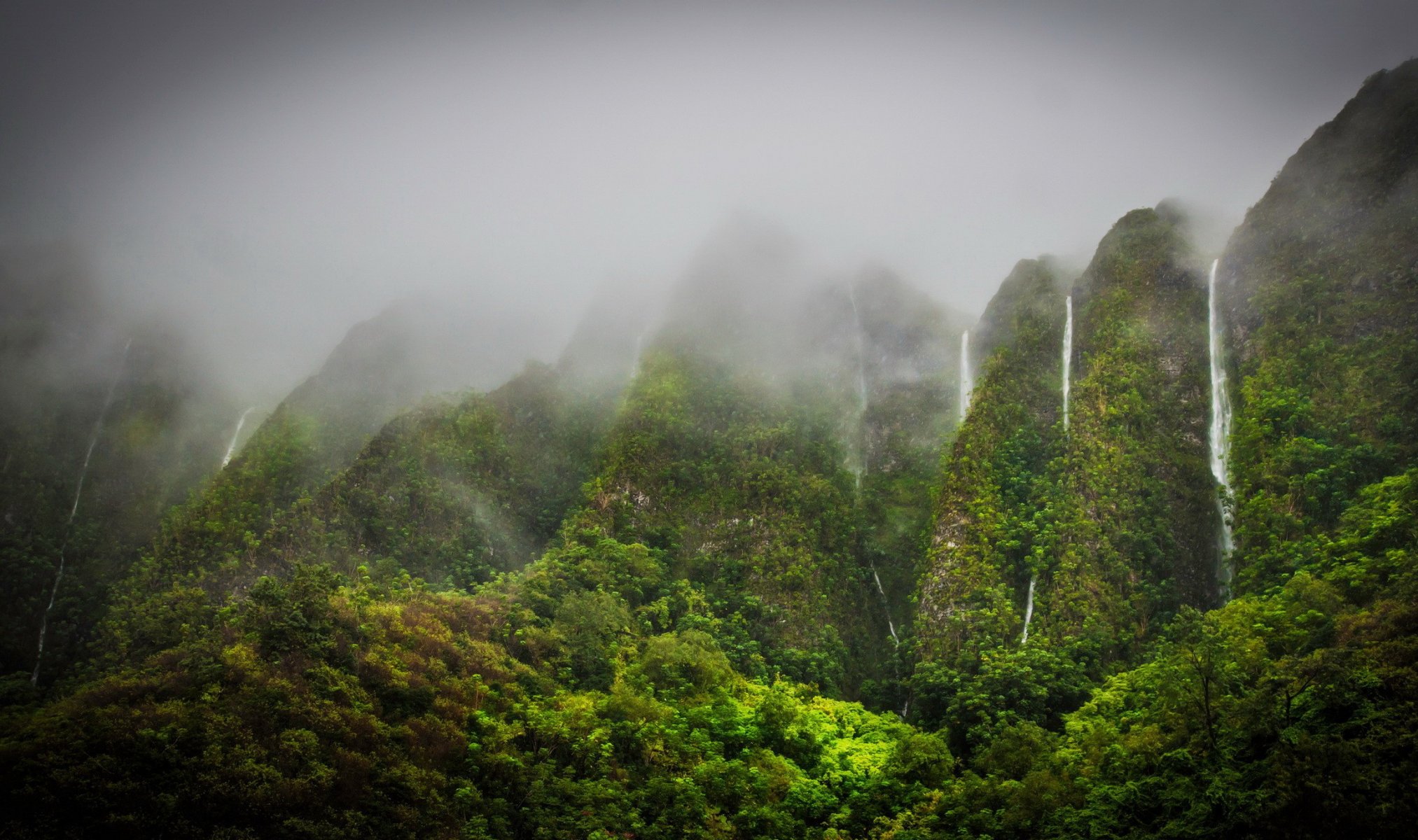 mountain waterfalls vegetation fog