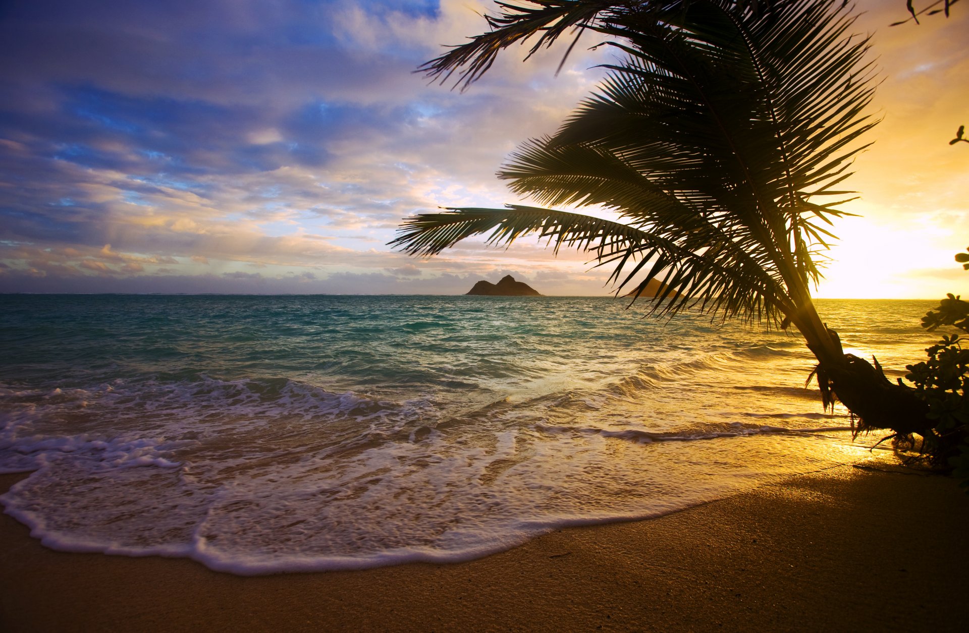 tropiques mer côte palmier coucher de soleil