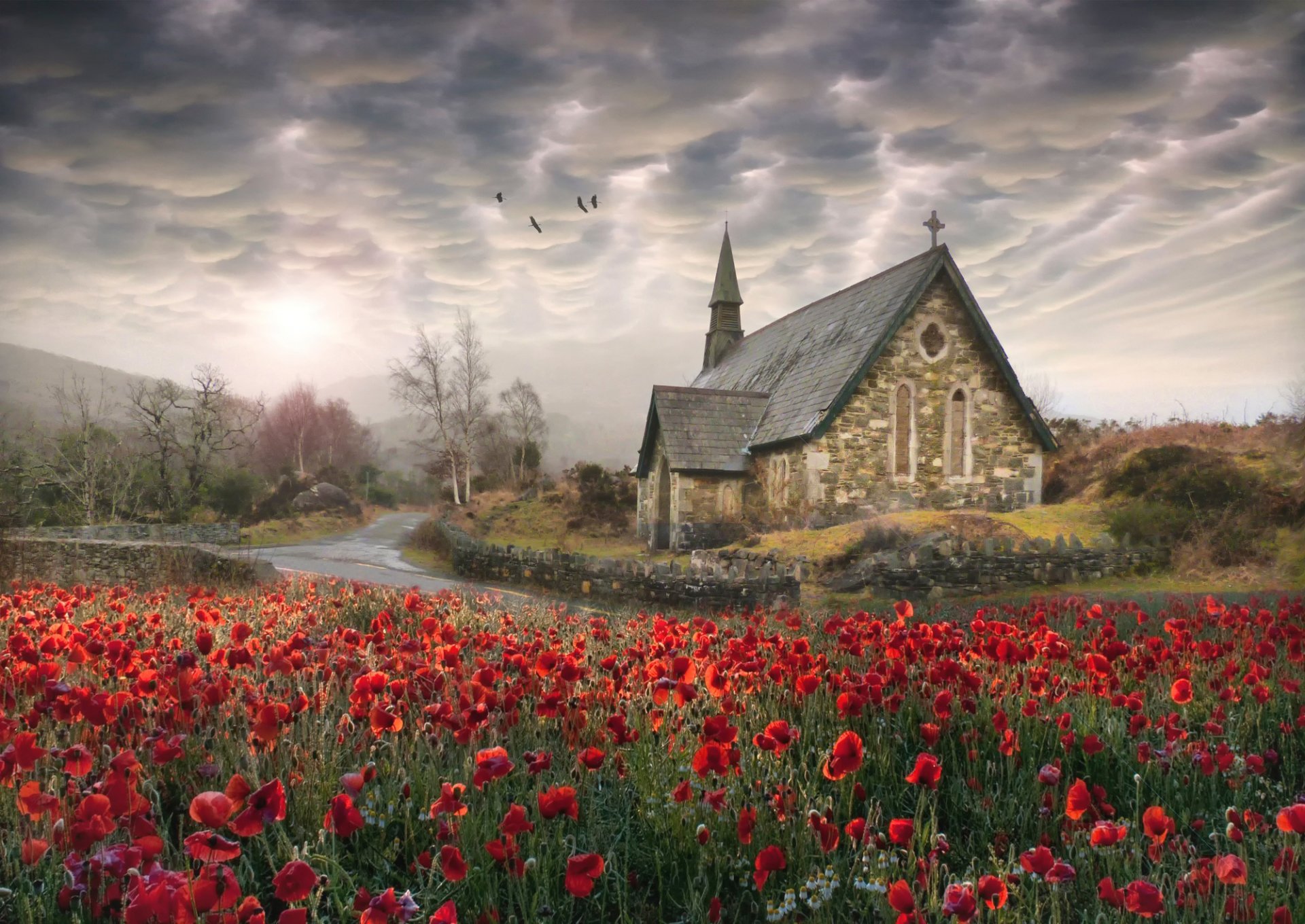 ireland poppies poppies church birds photoshop element