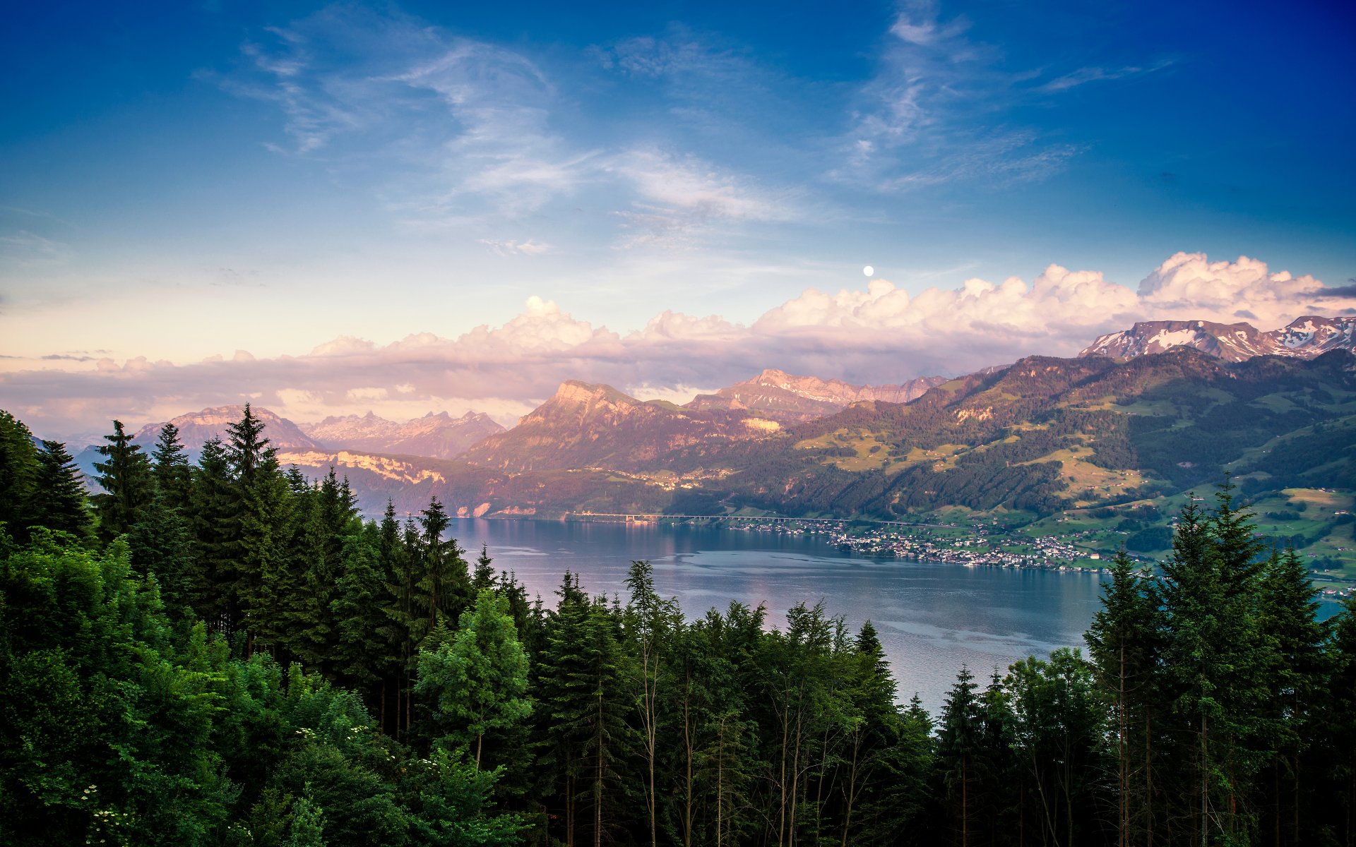 witzerland lake zurich mountain lake forest nature