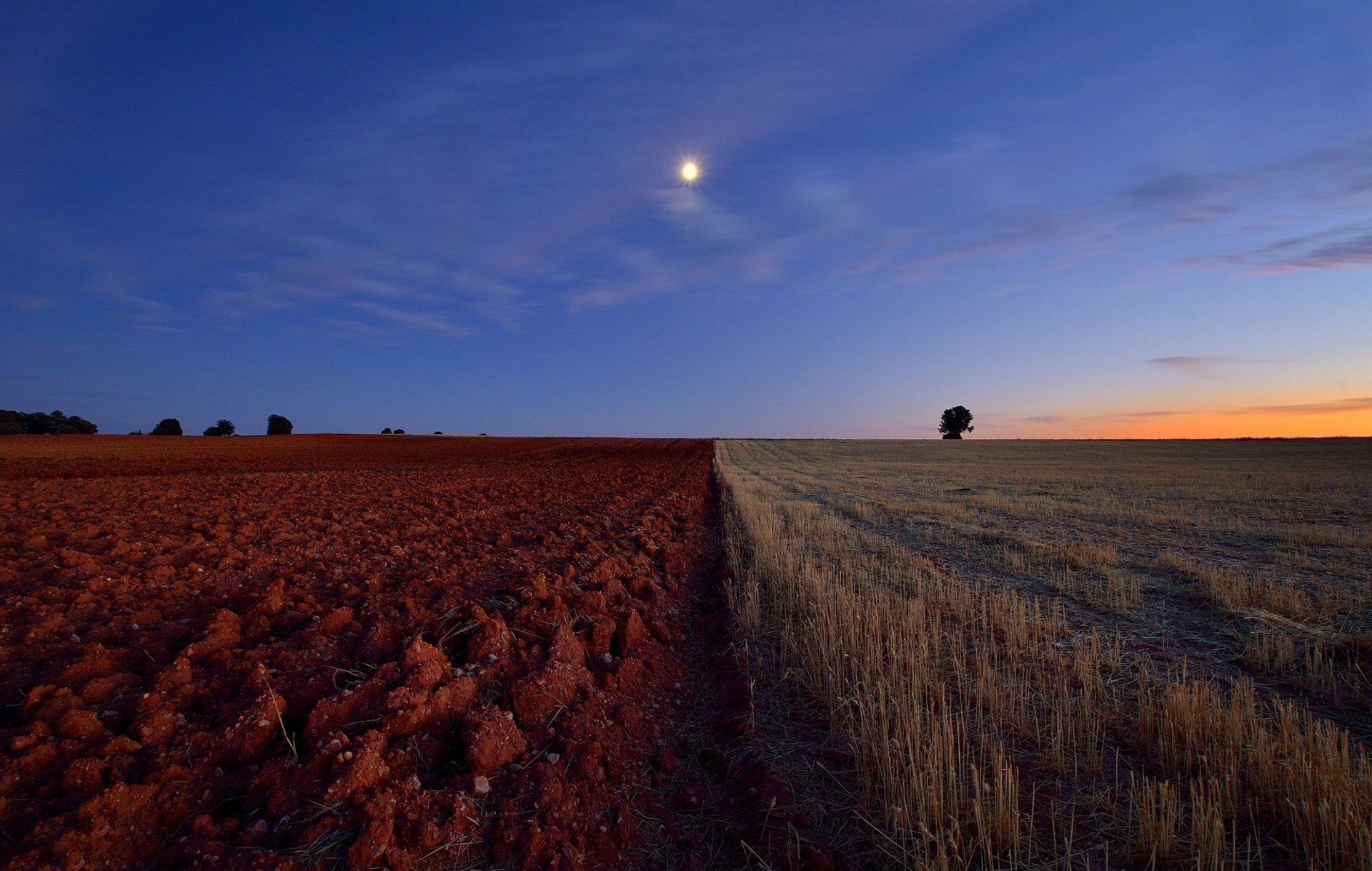 the field arable land horizon