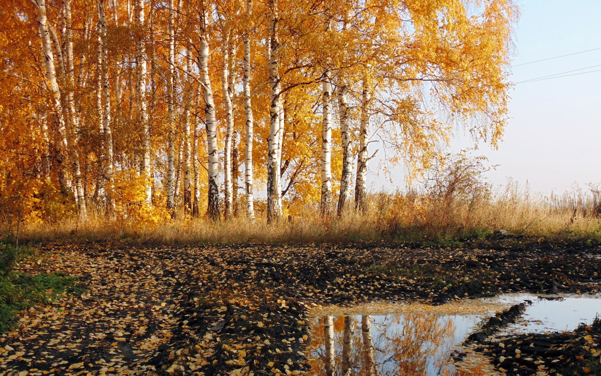 strada autunno natura