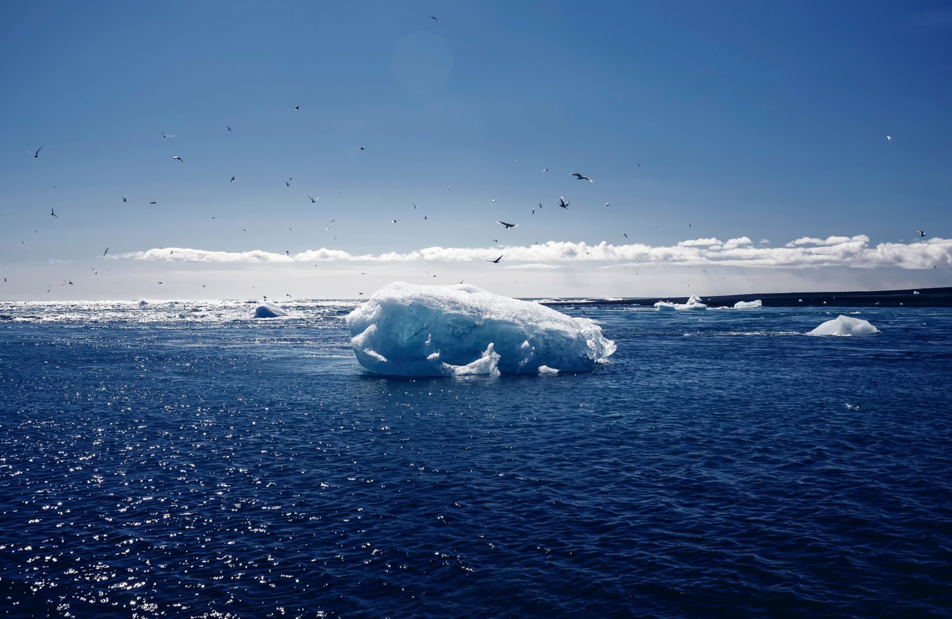 jökulsárlón lagoon islandia śnieg ptaki