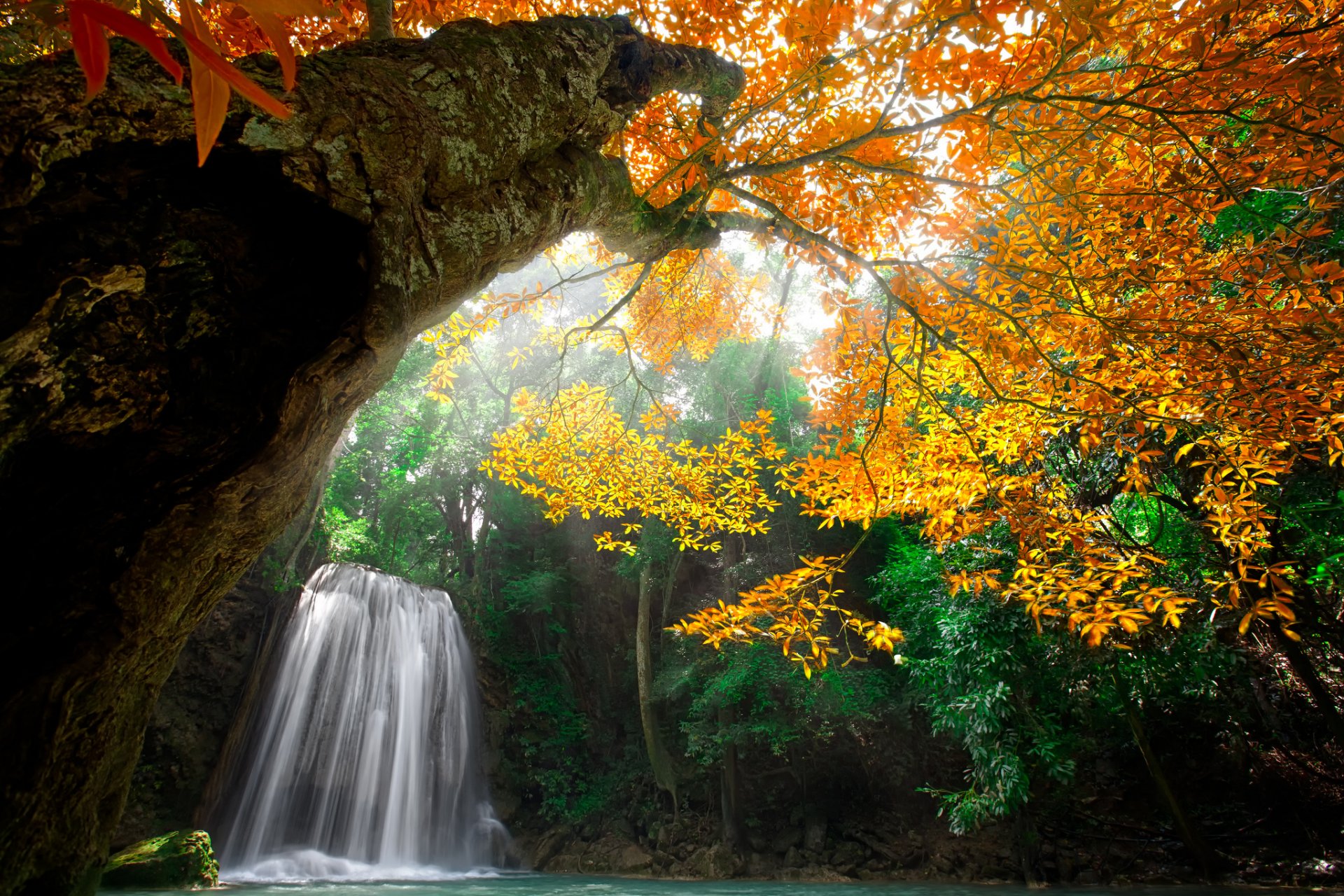 natura acqua cascata foresta parco alberi foglie colorato autunno caduta colori acqua