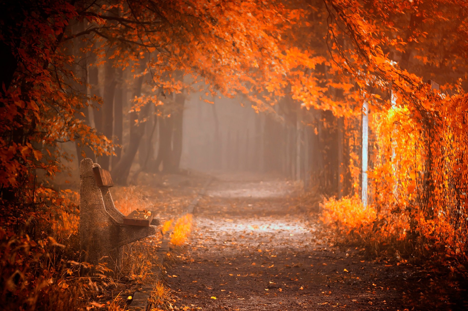 park ławka jesień