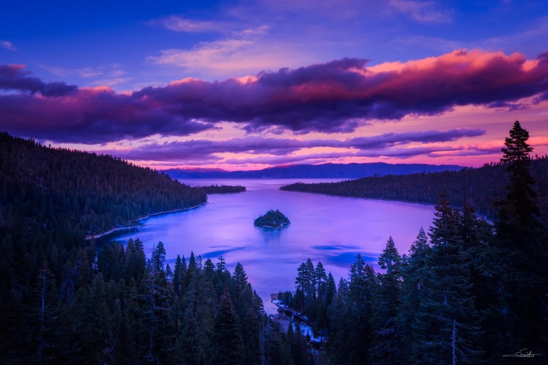 mountain forest lake island tree dawn