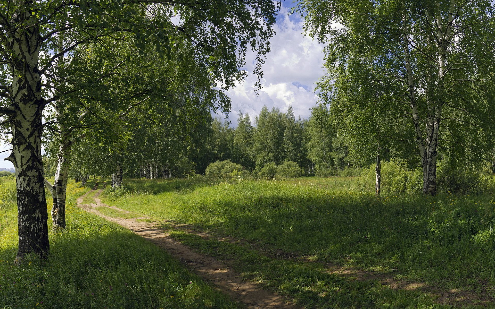 route été nature