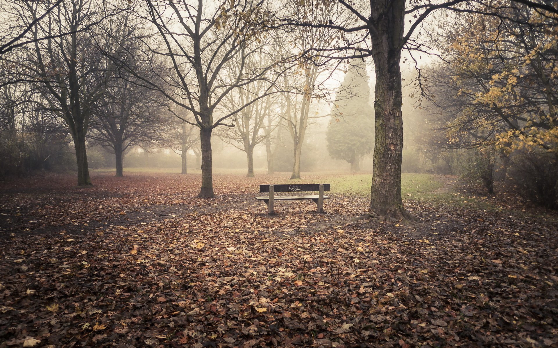 park autumn nature bench