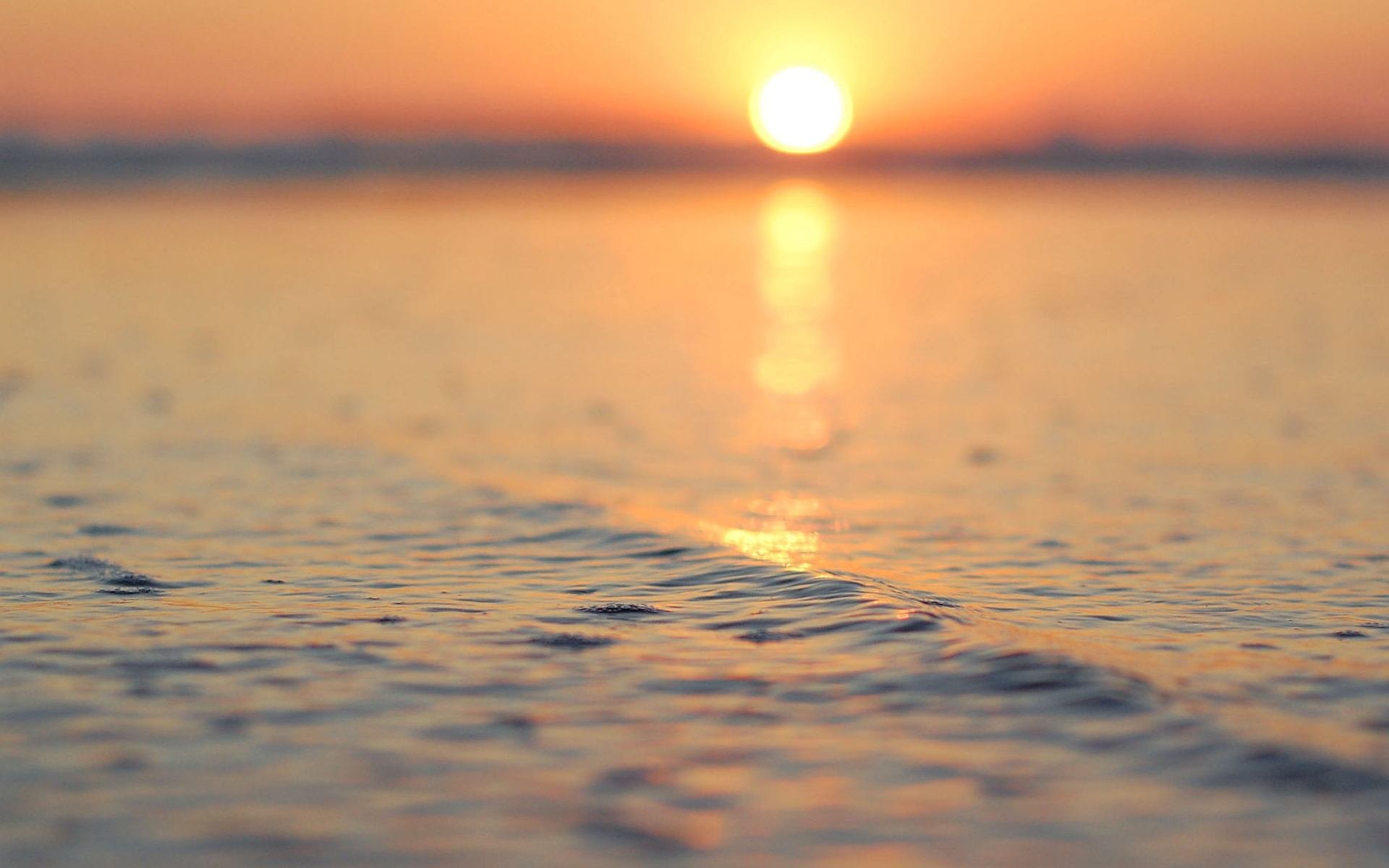 nature macro sea water ocean river waves wave sun sunset dawn tranquility rays bokeh blur reflection macro background wallpaper widescreen fullscreen widescreen widescreen