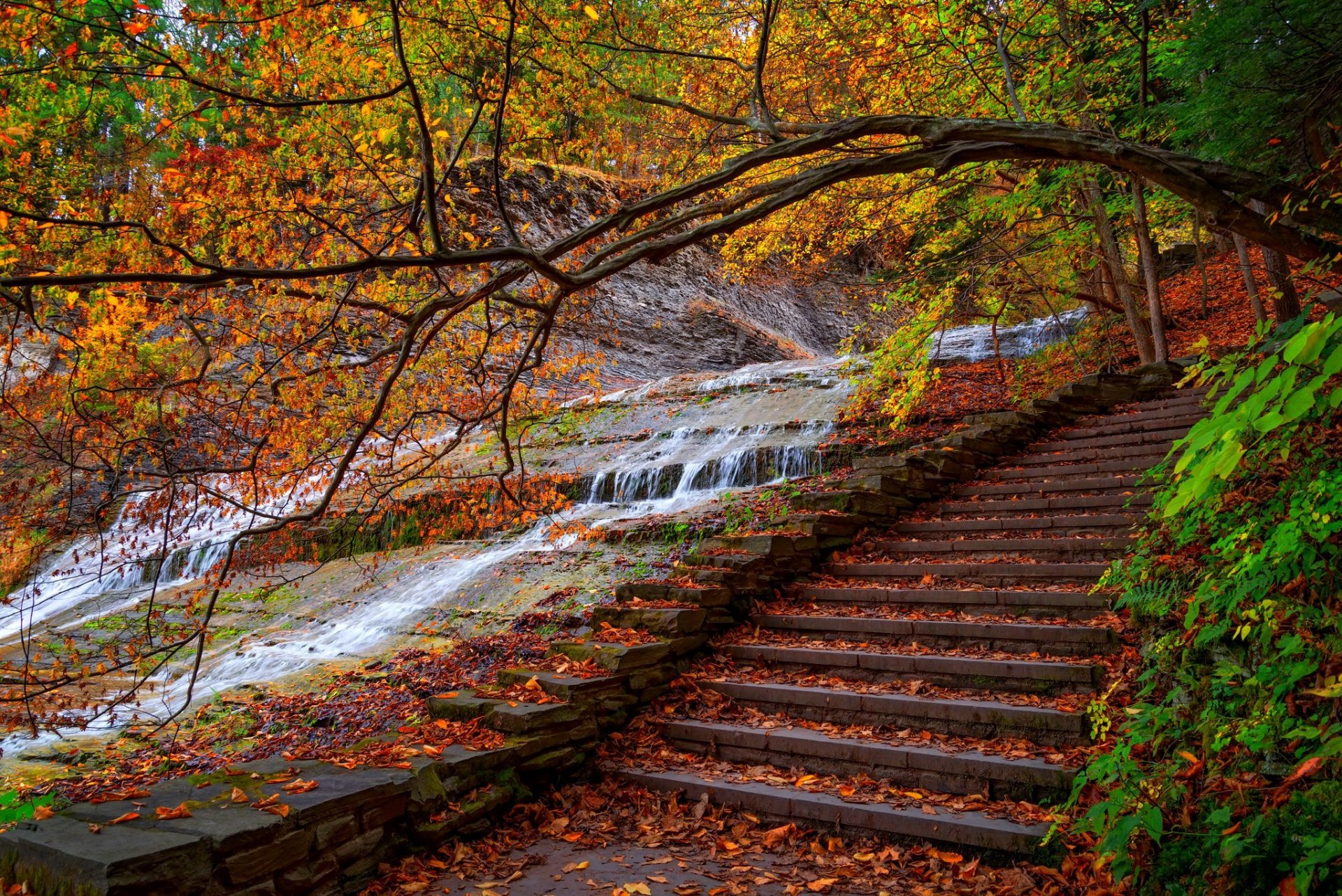 naturaleza agua bosque parque pasos árboles hojas colorido otoño caída colores paseo camino montañas pasos