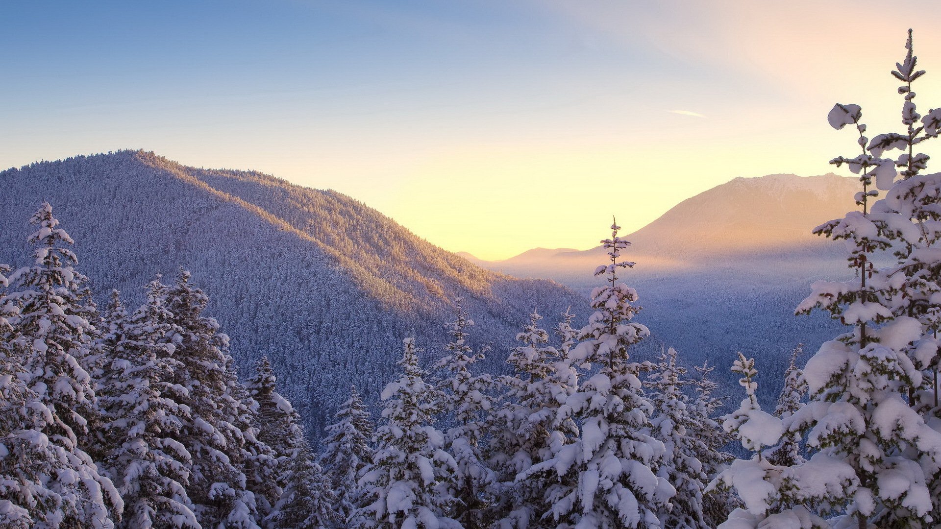 winter schnee wald bäume himmel berge