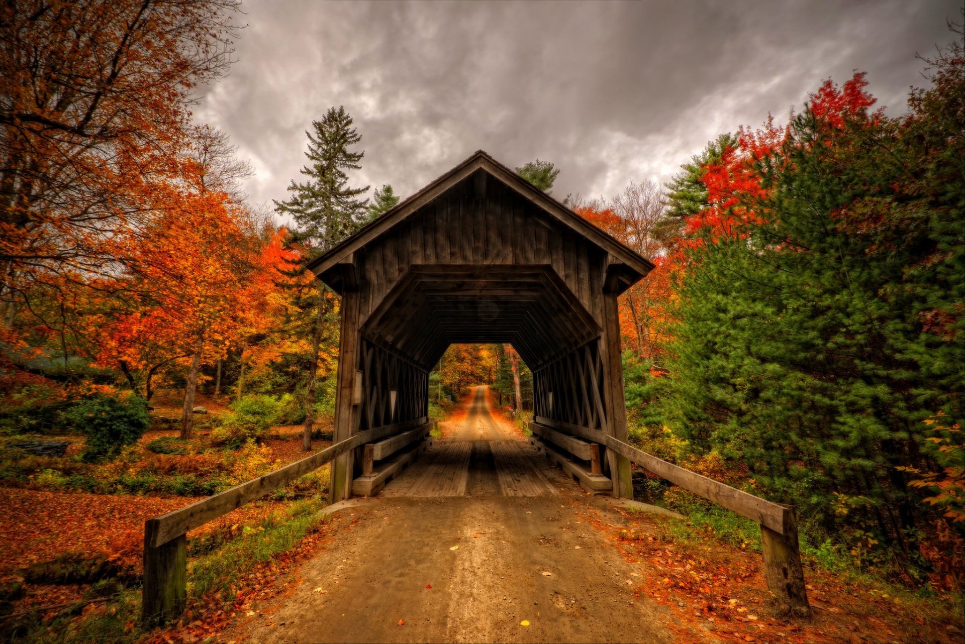 foglie parco alberi foresta autunno passeggiata natura vista caduta ponte vista