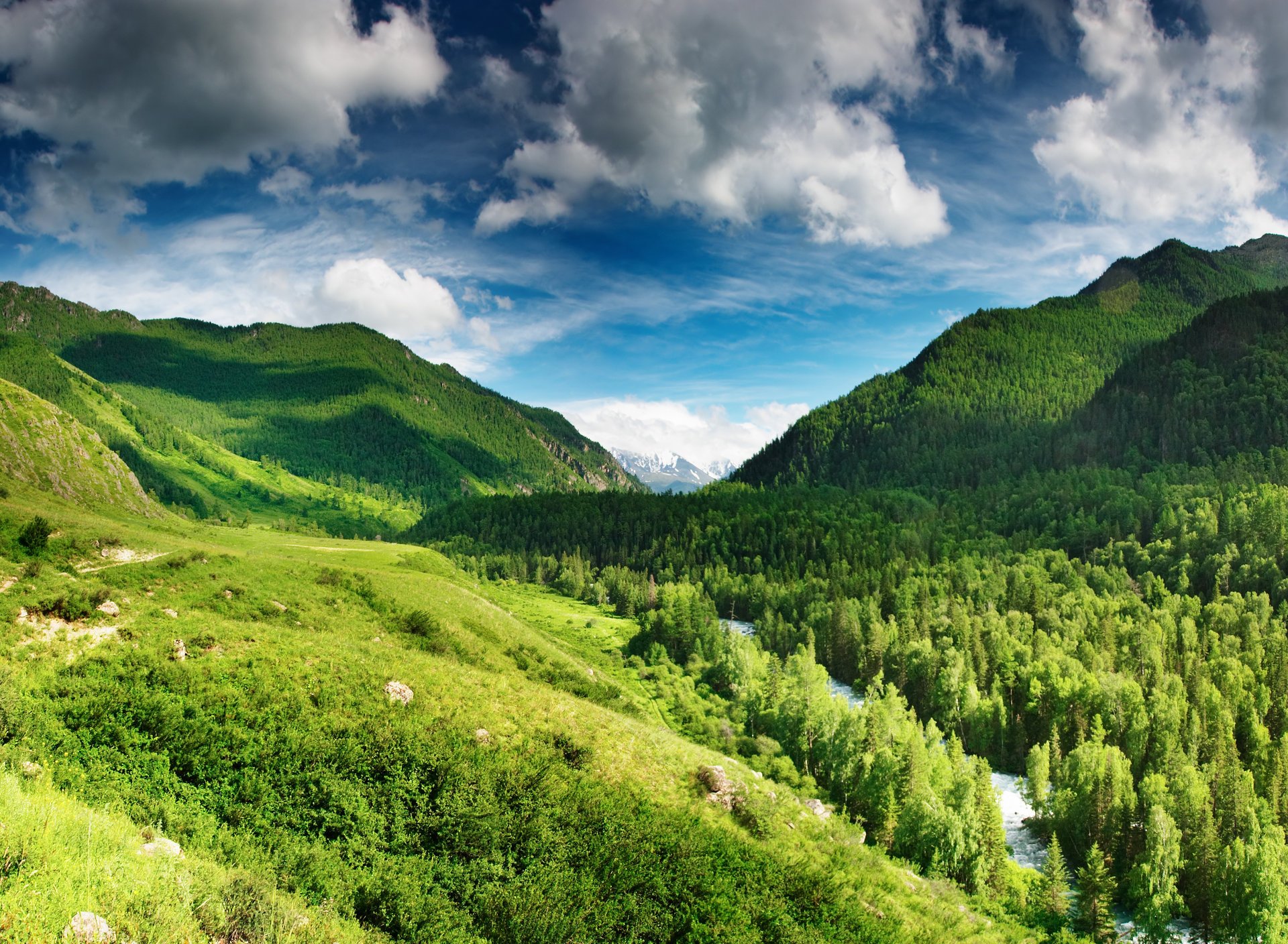 nature mountains trees river