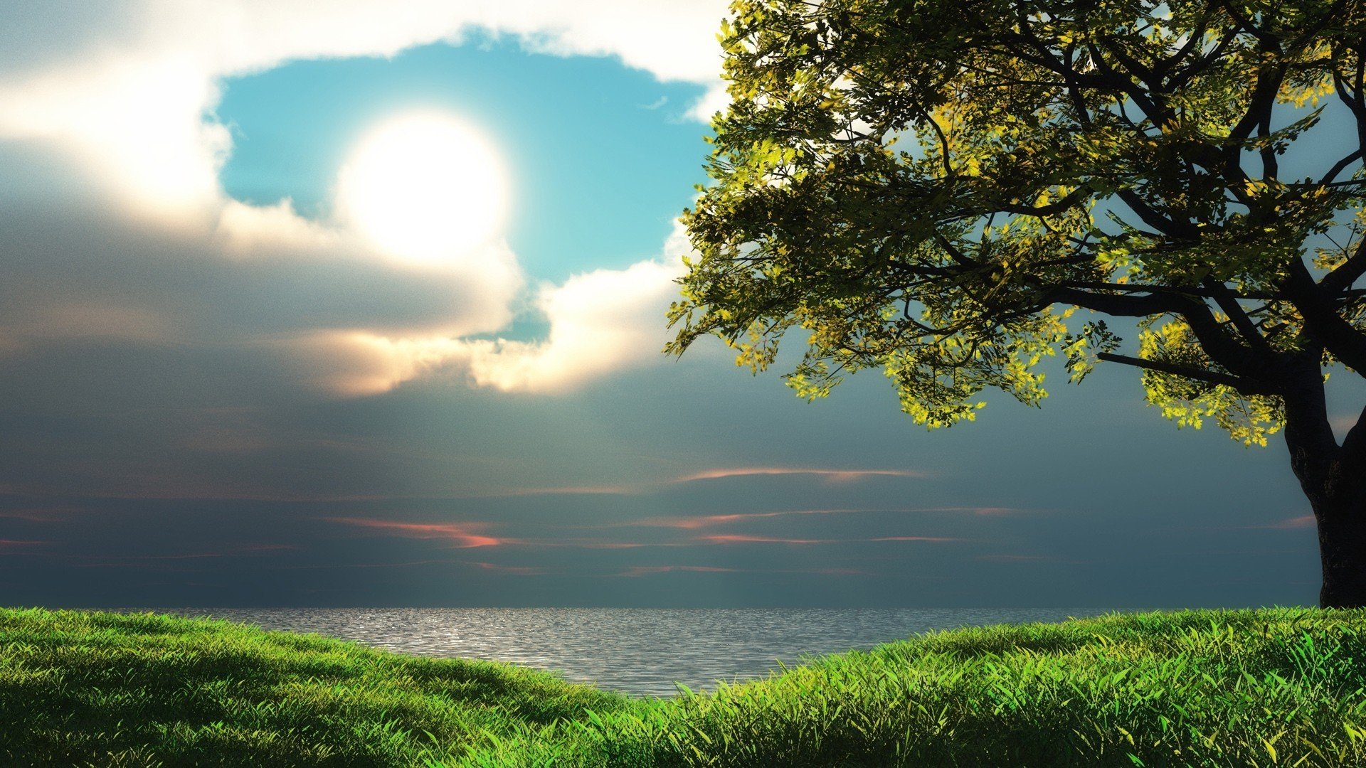 lake tree sky sun. grass cloud