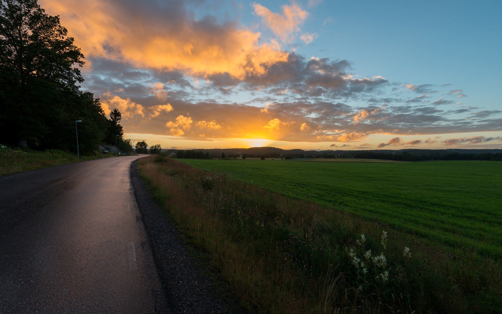 nature paysage herbe verdure prairie arbres arbre route sentier fleurs végétation soleil rayons coucher de soleil fond ciel nuages papier peint écran large plein écran écran large écran large