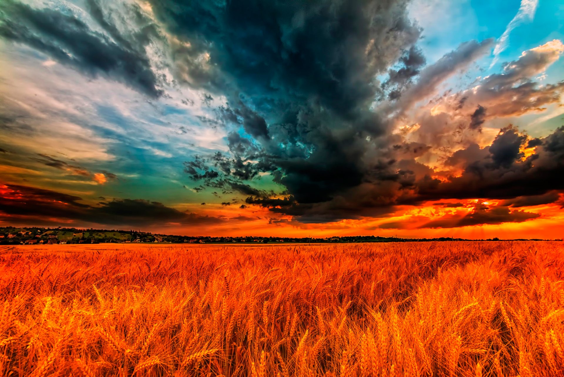 campo espigas nubes nubes