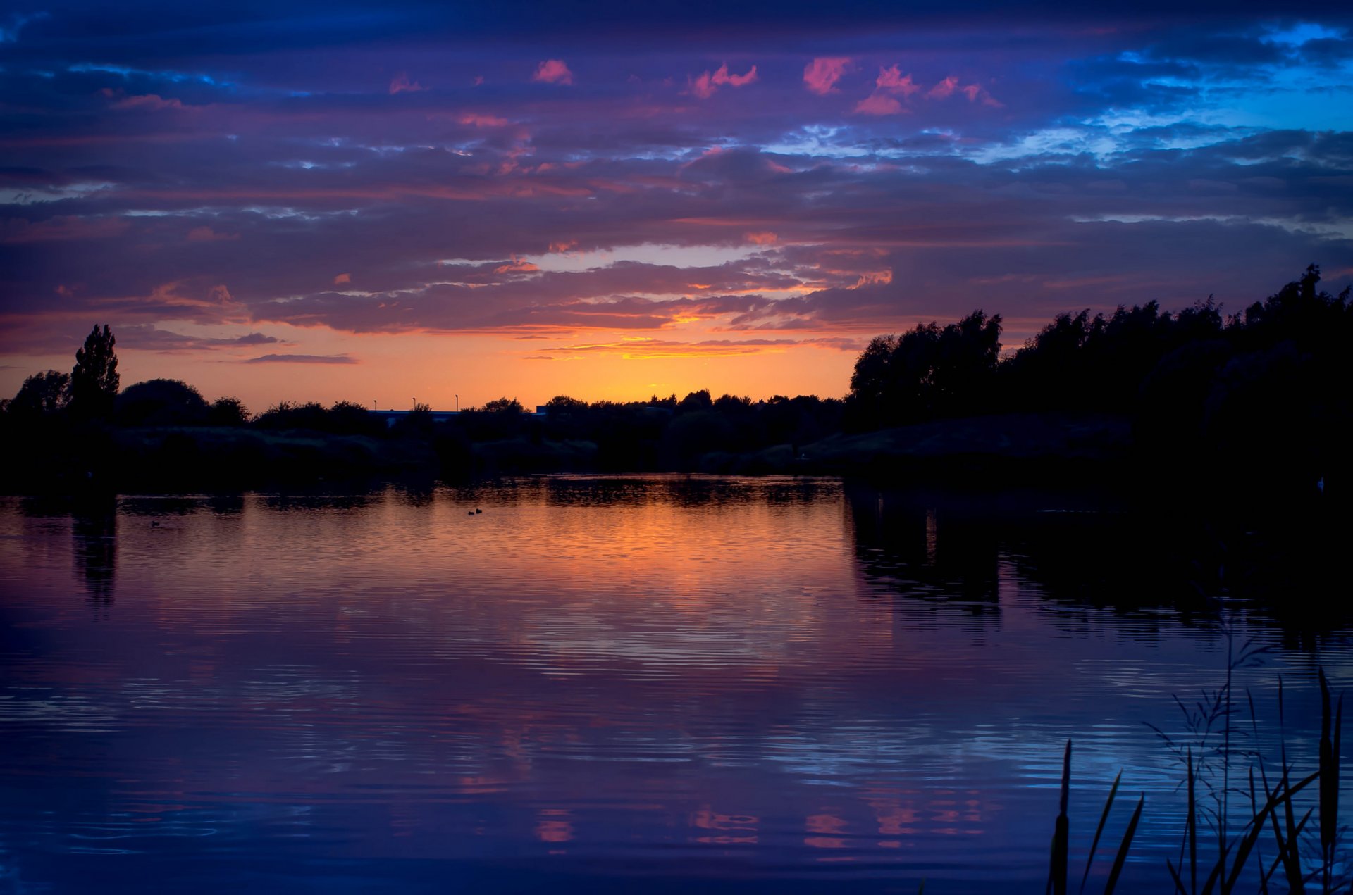 fiume riva alberi foresta estate natura sera tramonto cielo nuvole